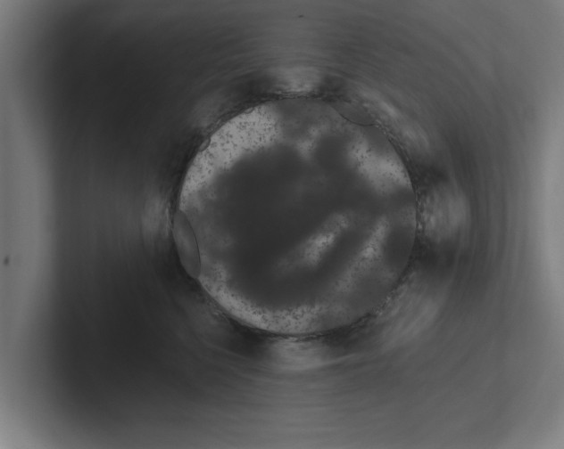 X0000102290568200808221359