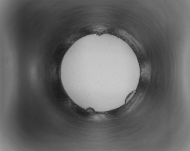 X0000102290572200808221359