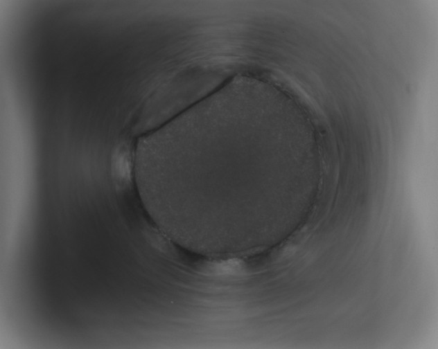 X0000102290576200808221359