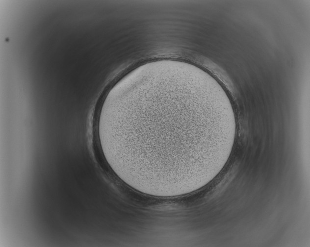 X0000102290578200808221359