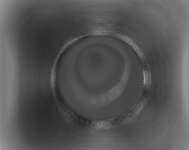 X0000102290579200808221359