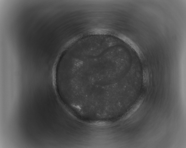 X0000102290581200808221359