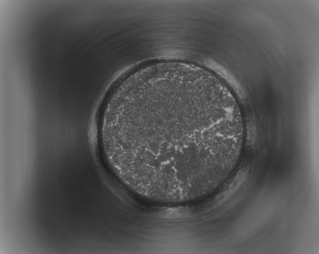 X0000102290584200808221359