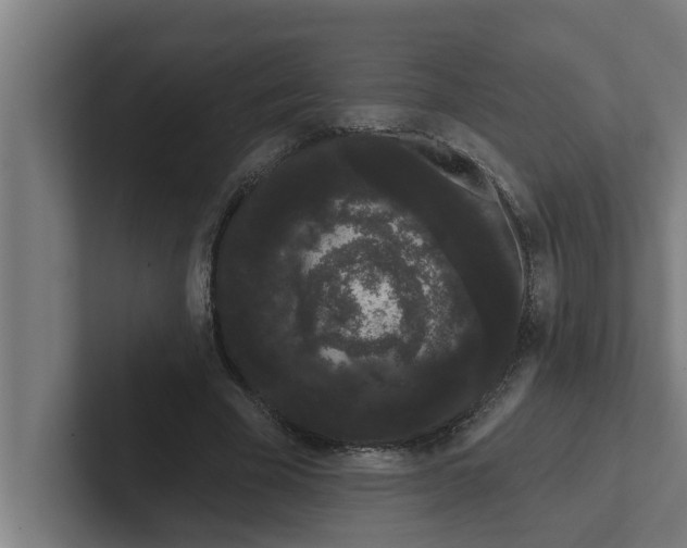 X0000102290585200808221359