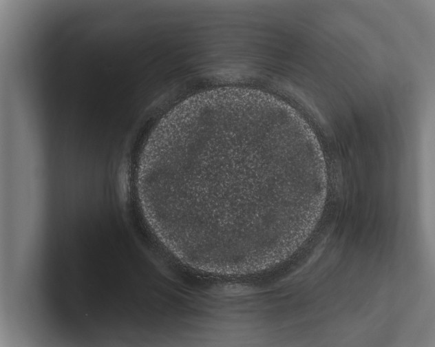 X0000102290590200808221359