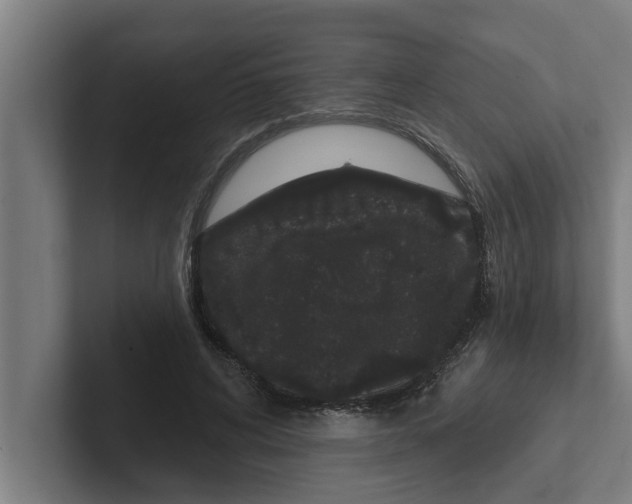 X0000102290592200808221359