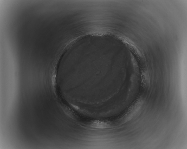 X0000102290596200808221358