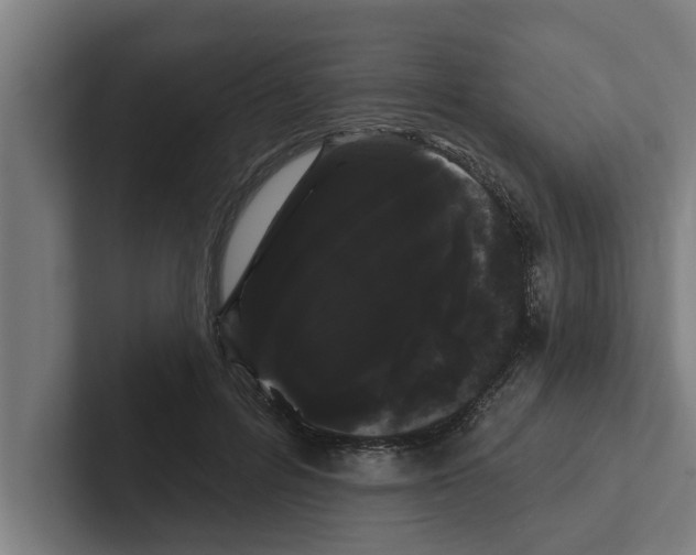 X0000102290600200808221358