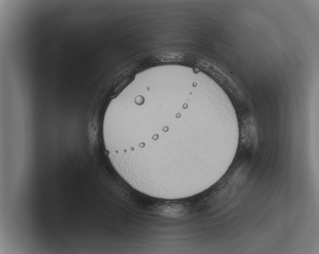 X0000102290604200808221358