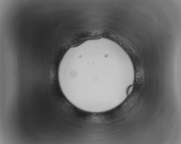 X0000102290608200808221358