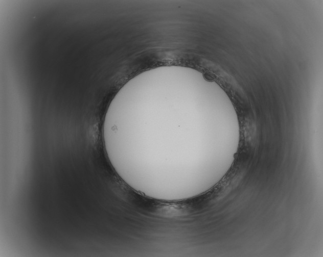 X0000102290611200808221358