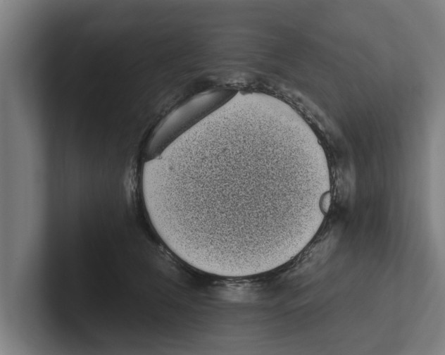 X0000102290612200808221358