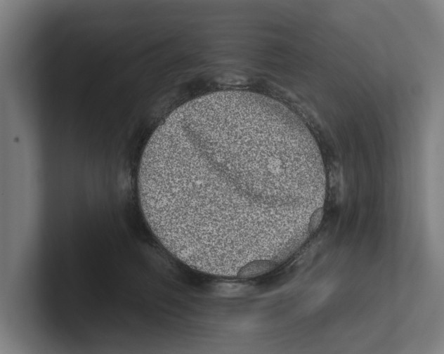 X0000102290614200808221358