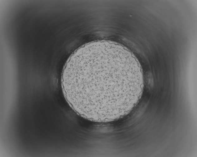 X0000102290615200808221358