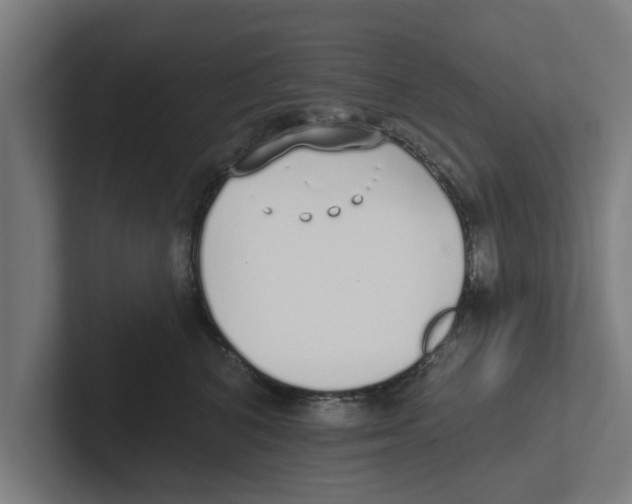 X0000102290616200808221358