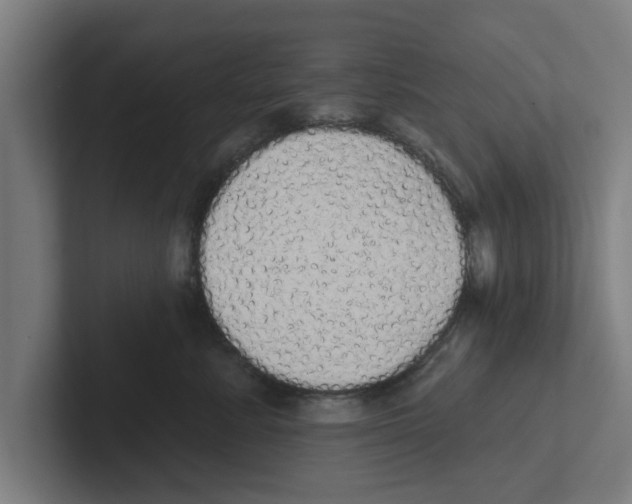 X0000102290619200808221358