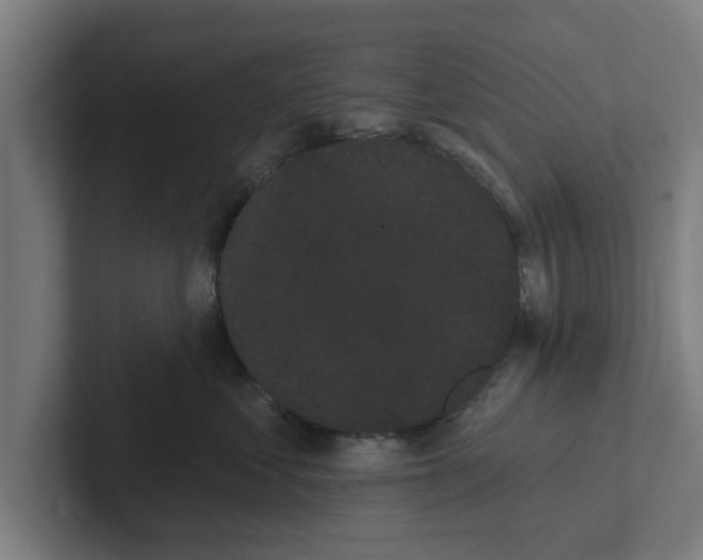 X0000102290621200808221358