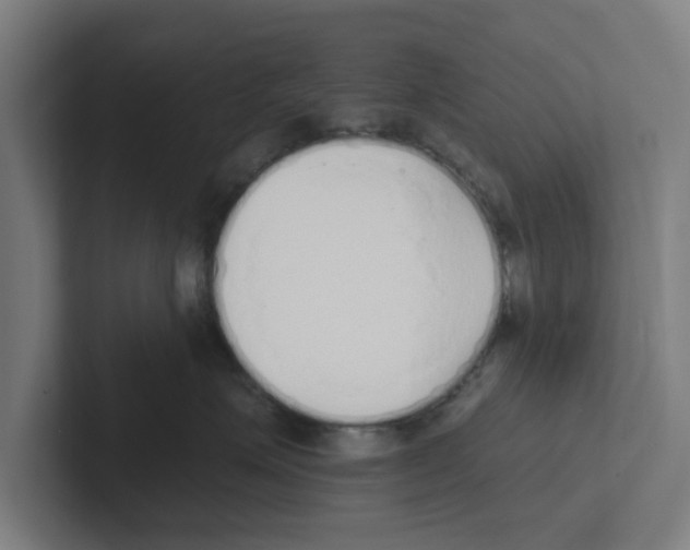 X0000102290623200808221358