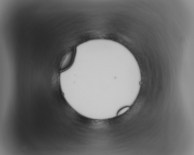 X0000102290624200808221358