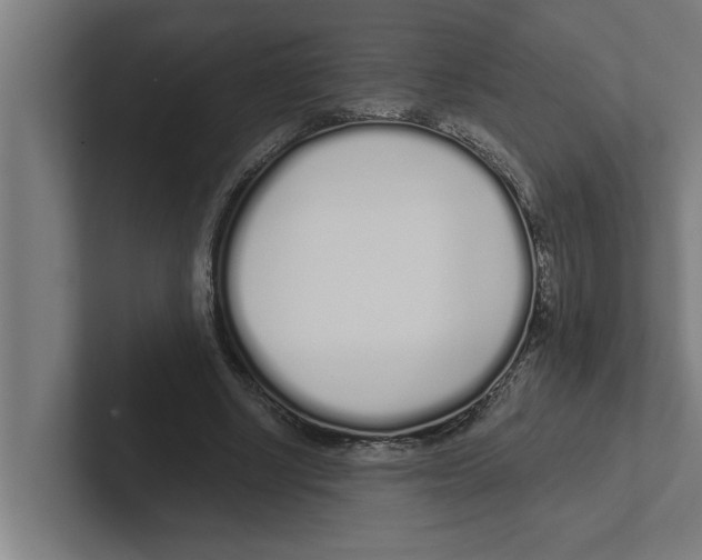 X0000102290634200808221358