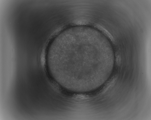 X0000102290635200808221358