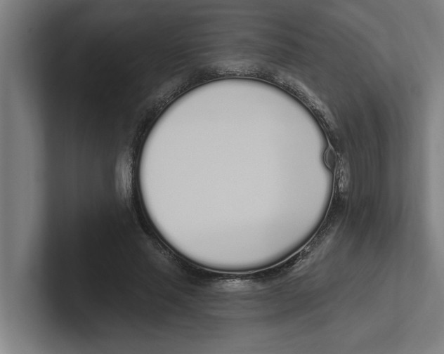 X0000102290637200808221358