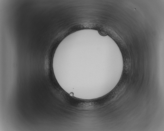 X0000102290639200808221358