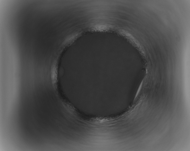 X0000102290640200808221358