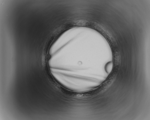 X0000102290641200808221358