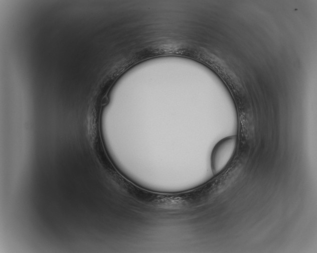 X0000102290642200808221358