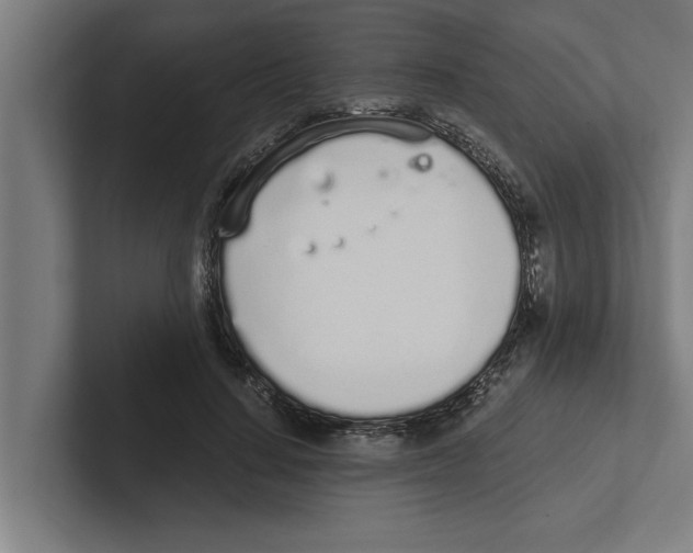 X0000102290644200808221358