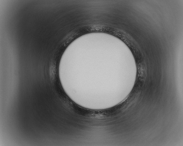 X0000102290648200808221358