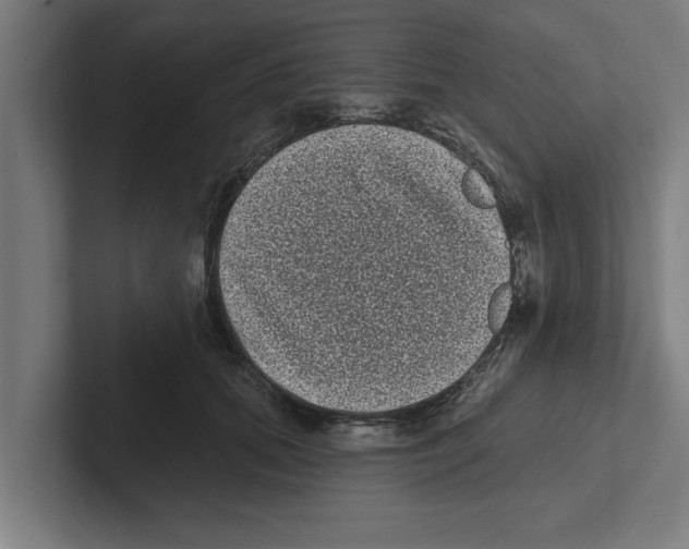 X0000102290655200808221358