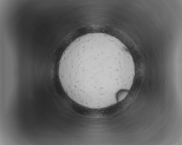 X0000102290656200808221358