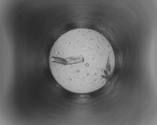 X0000102290663200808221358