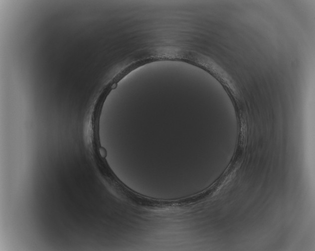 X0000102290674200808221357