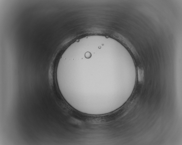 X0000102290675200808221357