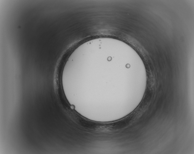 X0000102290680200808221357