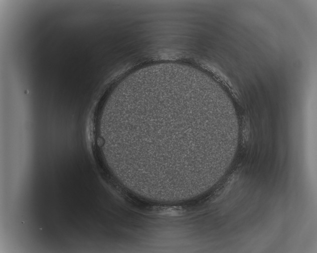 X0000102290683200808221357