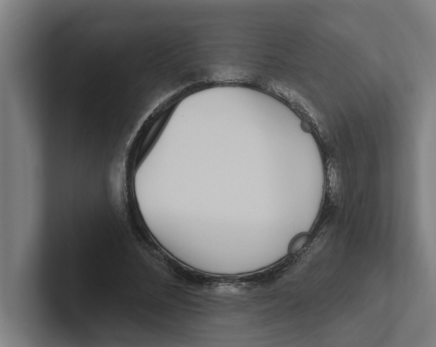 X0000102290684200808221357