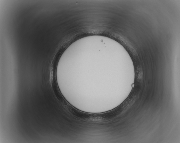 X0000102290685200808221357