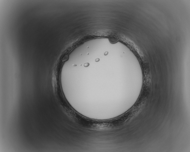 X0000102290688200808221357