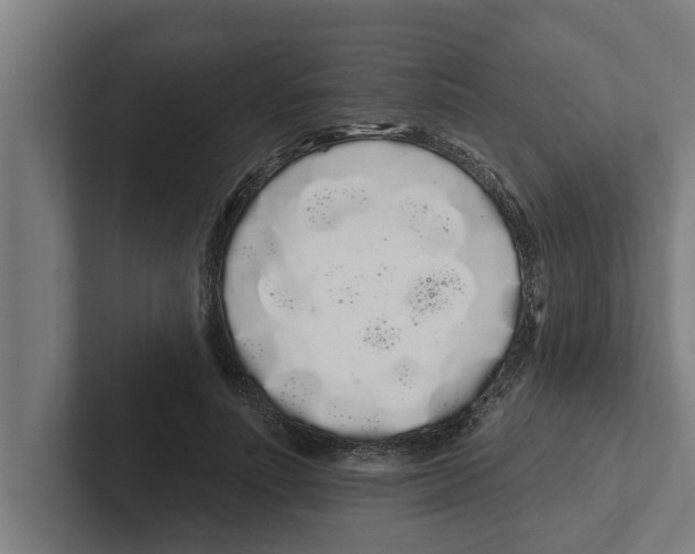 X0000102290691200808221357