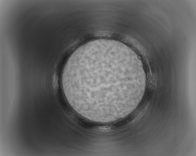 X0000102290692200808221357