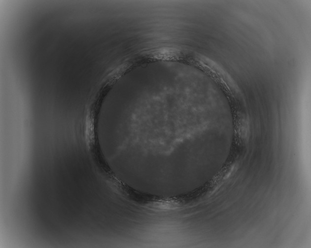 X0000102290696200808221357