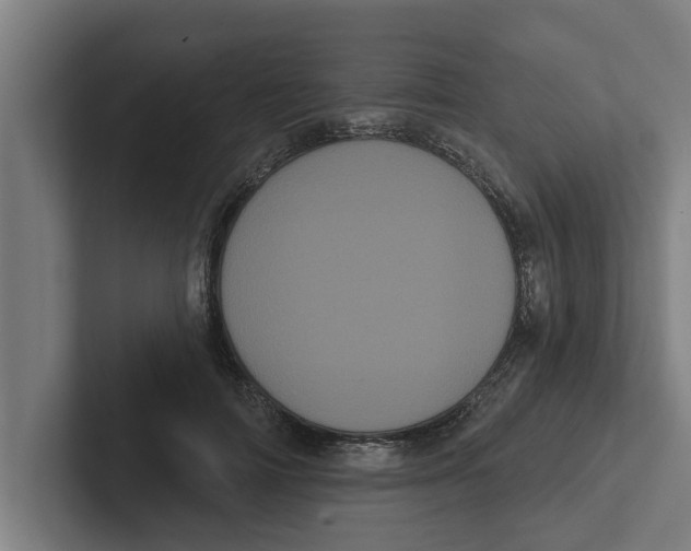 X0000102290698200808221357