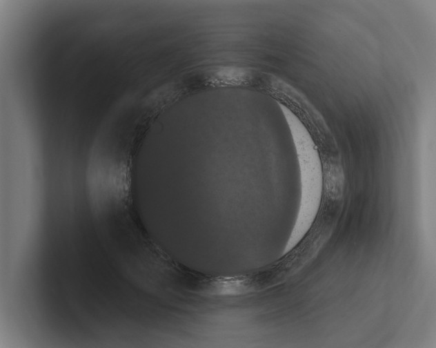 X0000102290701200808221357