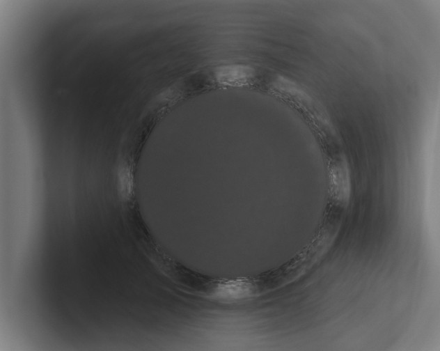 X0000102290705200808221357