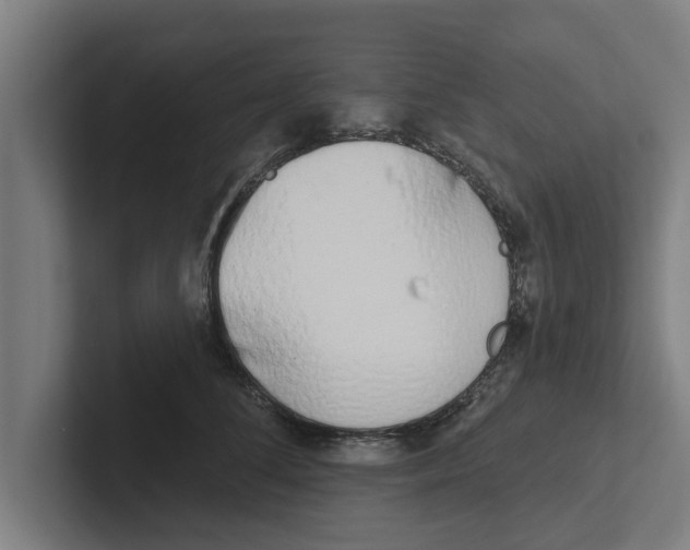 X0000102290708200808221357