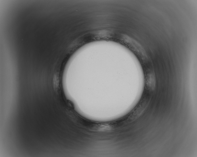 X0000102290715200808221357